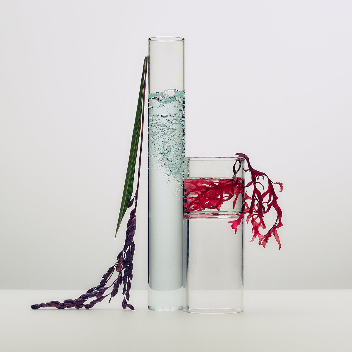 DewySkinCream-Aug26-Ppage-Ingredients_befcbc77-226a-4c36-9704-d3b6353f6d0d.jpg