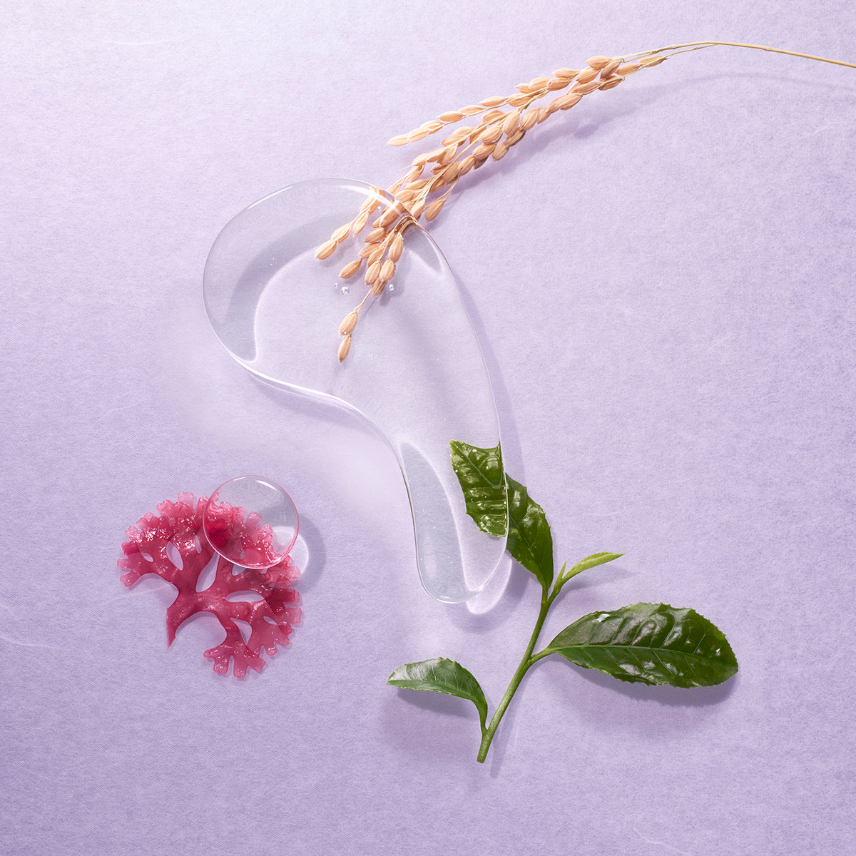 Essence-pdp-IngredientsOnly-1200x1200_528b8988-8c26-47d1-be72-780ff54ebce9.jpg